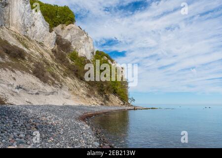 Moens klint craie falaises au Danemark, un jour d'été Banque D'Images