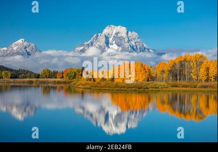 Parc national de Grand Teton, Wyoming : Mont Moran enveloppé de nuages bas reflétant les encens de couleur automnale sur l'Oxbow de la rivière Snake Banque D'Images