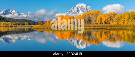 Parc national de Grand Teton, Wyoming : Mont Moran enveloppé de nuages bas reflétant les encens de couleur automnale sur l'Oxbow de la rivière Snake Banque D'Images