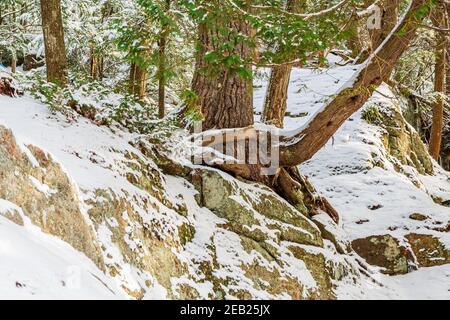 Hawk Lake Log Chute Algonquin Highlands Haliburton County Ontario Canada Banque D'Images
