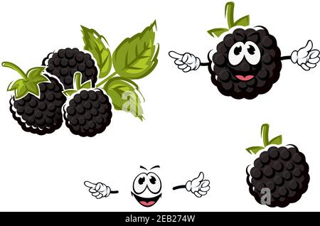 Mûr juteux cartoon mûre mûres fruits personnages avec des baies drôles, de grandes tiges vertes luxuriantes et des feuilles sculptées isolées sur fond blanc, pour agricu Illustration de Vecteur