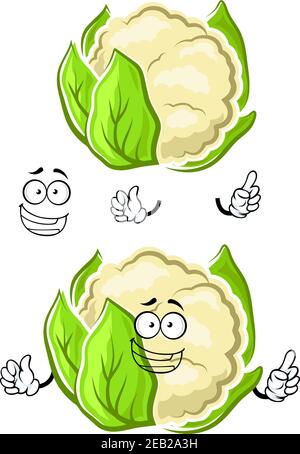 Happy Healthy caricature de chou-fleur blanc caractère légumière avec des feuilles vertes et un sourire ondotté, pour la nourriture végétarienne, la cuisine ou l'agricu Illustration de Vecteur