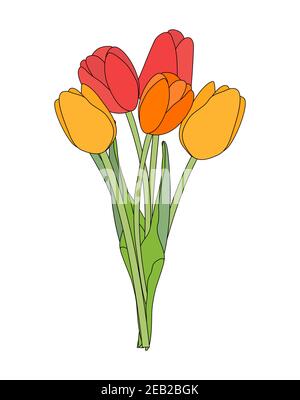 Bouquet de fleurs de printemps tulipes isolées sur fond blanc Vector Illustration EPS10 Illustration de Vecteur