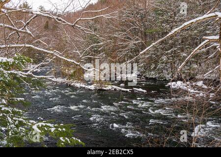Hawk Lake Log Chute Algonquin Highlands Haliburton County Ontario Canada Banque D'Images