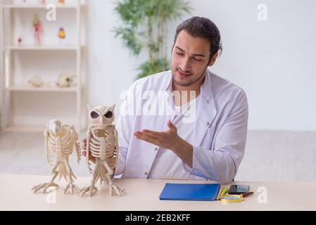 Jeune zoologiste démontrant des squelettes d'aigle et de chouette Banque D'Images