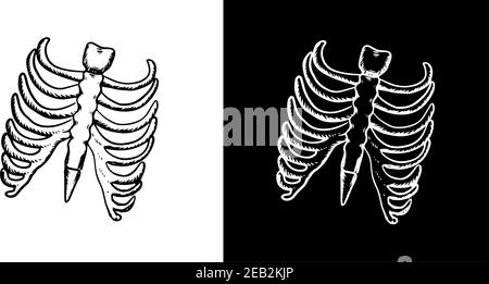 Rayons X et squelette de la cage thoracique humaine avec nervures et partie de la colonne vertébrale dans le style d'esquisse de contour, pour la conception de concept de soins de santé Illustration de Vecteur