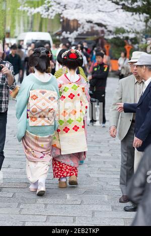 Kyoto Japon deux femmes vêtues de Geisha sur Shirakawa Dori marchent sous Sakura, ou les cerisiers en fleurs. Banque D'Images