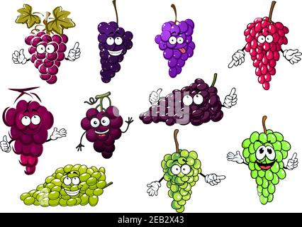 Brioches juteuses sucrées de caractères de dessin animé de fruits de raisin violet, vert et rouge avec des vignes et des feuilles de raisin. Pour la conception agricole Illustration de Vecteur