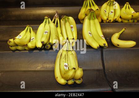 Del Monte bananes sur une étagère en bois d'exposition à une épicerie gros plan qui sont mûrs et prêts à manger. Banque D'Images