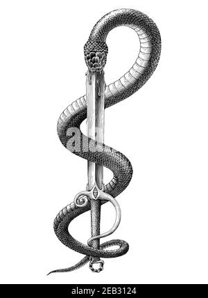 Snake spit Sword main dessiner vintage gravure style noir et clip art blanc isolé sur fond blanc Illustration de Vecteur