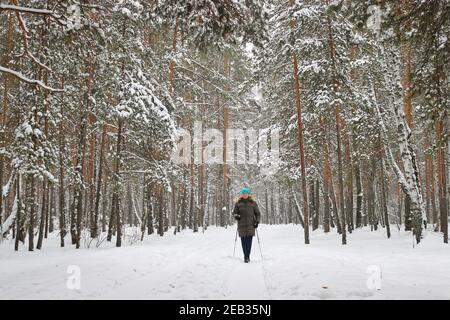 Femme entre pour les sports d'hiver - marche nordique, marche avec des bâtons dans une forêt enneigée. Des personnes actives dans la nature. Banque D'Images
