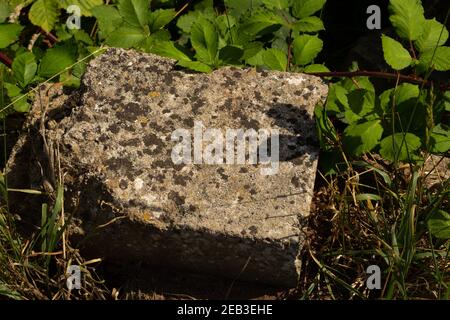 détail d'un rocher recouvert de lichen avec des feuilles vertes l'arrière-plan Banque D'Images