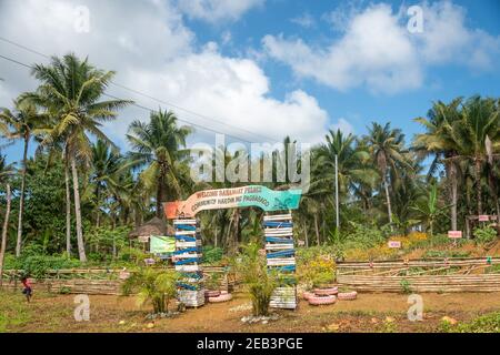 Légumes de ferme bio Siargao Island Village Banque D'Images