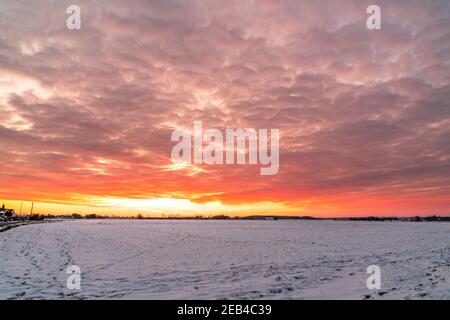 Le ciel de l'aube au-dessus d'un hedgerow lointain et des arbres à l'horizon avec un champ couvert de neige gelé au premier plan. Le ciel est un jaune dramatique avec une couche de nuages rouges sous-éclairés, ce qui lui donne un ciel ondulé sur le feu look. Banque D'Images