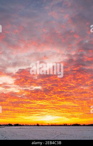 Le ciel de l'aube au-dessus d'un hedgerow lointain et des arbres à l'horizon avec un champ couvert de neige gelé au premier plan. Le ciel est un jaune dramatique avec une couche de nuages rouges sous-éclairés, ce qui lui donne un ciel ondulé sur le feu look. Banque D'Images