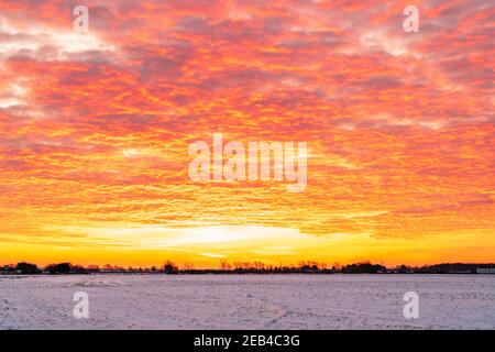 Le ciel de l'aube au-dessus d'un hedgerow lointain et des arbres à l'horizon avec un champ couvert de neige gelé au premier plan. Le ciel est un jaune dramatique avec une couche de nuages rouges sous-éclairés, ce qui lui donne un ciel ondulé sur le feu look. Banque D'Images