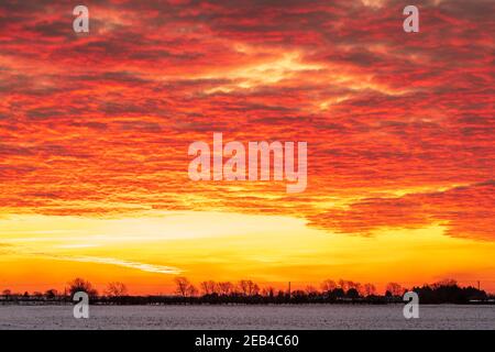 Le ciel de l'aube au-dessus d'un hedgerow lointain et des arbres à l'horizon un jour d'hiver après la chute de neige. L'horizon se trouve au bas du cadre. Le ciel est un jaune dramatique avec une couche de nuages rouges sous-éclairés, ce qui lui donne un ciel ondulé sur le feu look. Banque D'Images