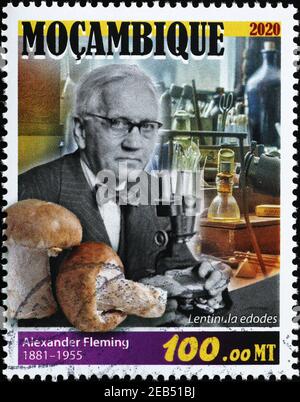 Portrait d'Alexander Fleming sur timbre-poste Banque D'Images