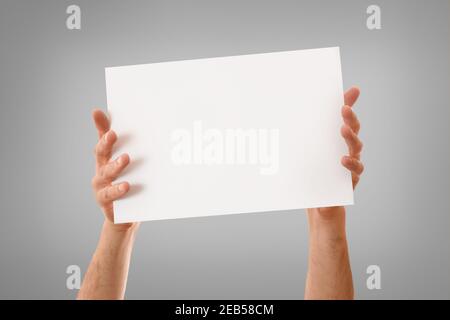 Deux mains montrant la feuille blanche horizontalement avec les doigts étirés sur le bord avec un arrière-plan dégradé de gris isolé Banque D'Images