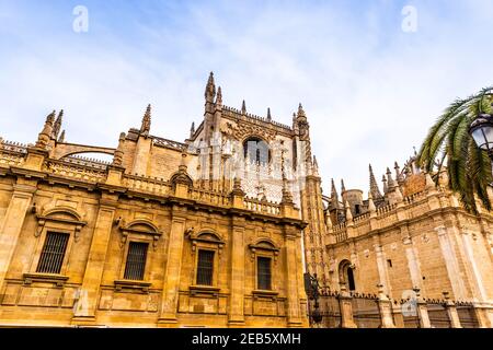 Cathédrale Saint-Métropolitaine et patriarcale de Santa María de la Sede à Séville, Andalousie, Espagne Banque D'Images