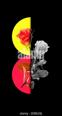 Collage artistique pour la journée des femmes. Noir et couleurs vives. Banque D'Images