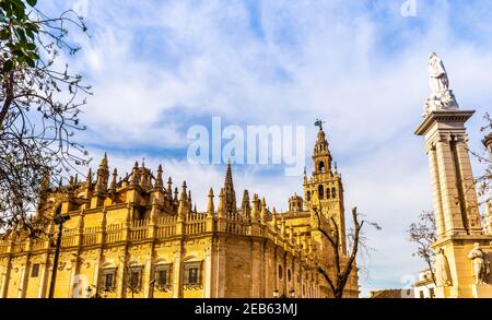 Cathédrale Saint-Métropolitaine et patriarcale de Santa María de la Sede à Séville, Andalousie, Espagne Banque D'Images