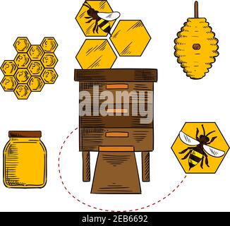 Motif nid d'abeille avec des abeilles volantes près des ruches, des nids d'abeilles et un pot en verre au miel, idéal pour l'industrie de l'apiculture Illustration de Vecteur