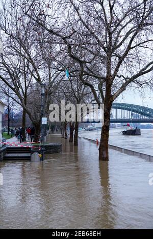 COLOGNE, ALLEMAGNE - 07 février 2021: Marée haute du rhin à Cologne, la promenade piétonne est complètement inondée Banque D'Images