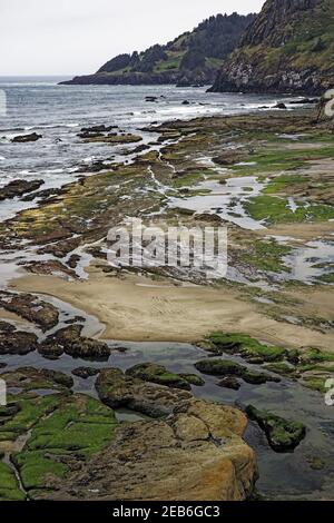 Côte à marée basse montrant les poolszone de Lincoln City Oregon, États-Unis LA000873 Banque D'Images