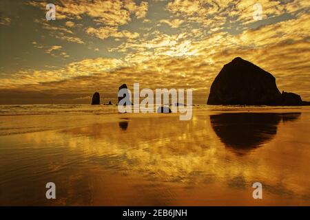 Piles de mer à Cannon BeachOregon, États-Unis LA000923 Banque D'Images