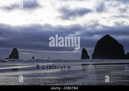 Piles offshore dans le soir lightCannon Beach Oregon, États-Unis LA001002 Banque D'Images