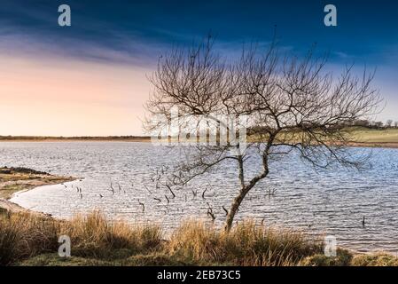 Soleil d'hiver en fin d'après-midi au-dessus du lac Colliford sur Bodmin Moor, dans les Cornouailles. Banque D'Images