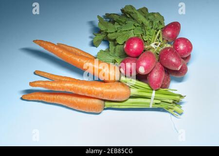 de magnifiques petits pains de radis et de carottes avec des sommets verts luxuriants, attachés avec un ruban Banque D'Images