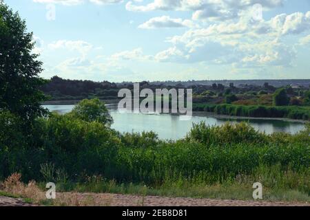 lac sauvage avec de l'eau surcultivée et des berges verdoyantes densément couvertes d'une végétation luxuriante de buissons et de roseaux. véritable vue rurale sous le ciel bleu propre Banque D'Images