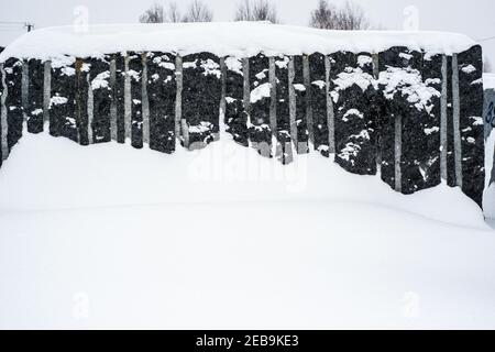 blocs de granit se sont querillés en hiver. Beaucoup de neige Banque D'Images