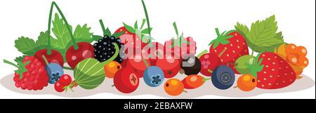 Composition à partir de baies de forêt et de jardin avec framboise de fraise et de myrtille illustration vectorielle plate des éléments de groseberry cloudberry Illustration de Vecteur