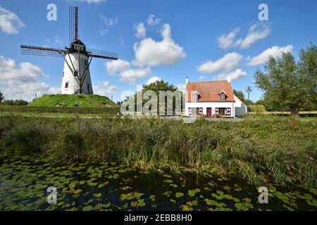 Paysage avec une maison rurale flamande typique et le moulin à vent historique de Schellemolen sur les rives de la Damse Vaart à Damme, Flandre Occidentale Belgique. Banque D'Images