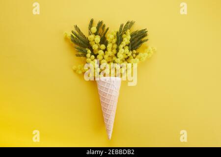 Fleur de mimosa jaune en cône gaufré sur fond jaune. Flat lay, vue de dessus Banque D'Images