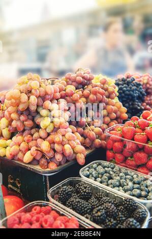 Grappes de raisins sur le comptoir. Des petits pains verts et rouges de raisins mûrs sont disposés sur le comptoir du marché des agriculteurs. Le fruit est prêt à la vente. Banque D'Images