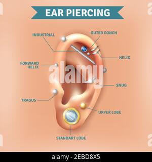 Principaux différents types de perce d'oreille les positions tendance image infographie éléments illustration vectorielle d'affiche d'arrière-plan naturel Illustration de Vecteur