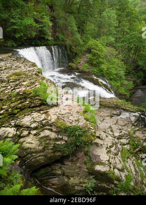 Sgwd ISAF Clun-gwyn (chute inférieure du pré blanc) cascade sur la rivière Afon Mellte dans le parc national de Bannau Brycheiniog (Brecon Beacons) près de Ystradfellte, Powys, pays de Galles. Banque D'Images