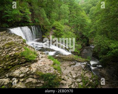 Sgwd ISAF Clun-gwyn (chute inférieure du pré blanc) cascade sur la rivière Afon Mellte dans le parc national de Bannau Brycheiniog (Brecon Beacons) près de Ystradfellte, Powys, pays de Galles. Banque D'Images