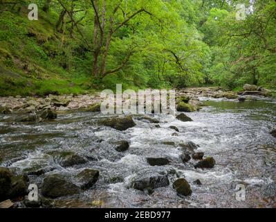 La rivière Mellte en aval de la cascade Sgwd Clun-gwyn dans le parc national de Bannau Brycheiniog (Brecon Beacons), au sud du pays de Galles. Banque D'Images