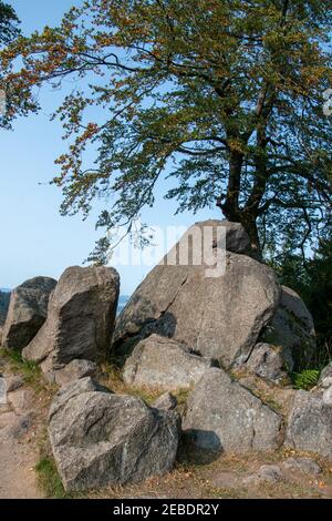 Rochers et vue sur le sentier de randonnée de Rennsteig En Thuringe sur la scène de Ruhla à Ebertswiese Banque D'Images