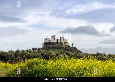 Vue sur le château médiéval d'Almodovar del Rio avec des fleurs jaunes au premier plan Banque D'Images