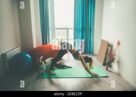 Une jeune fille avec un chien Jack russell effectue des exercices de yoga à la maison Banque D'Images