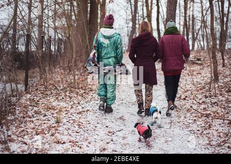 Trois amis et deux petits chiens en Allemagne entrent à pied bois en hiver Banque D'Images