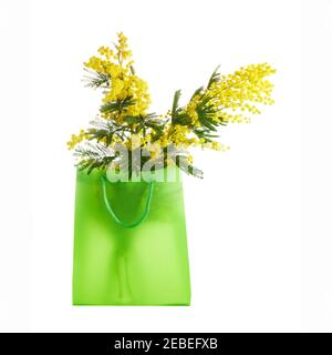 Sac de shopping rempli de fleurs immoses isolées sur blanc. Concept de vente printanière Banque D'Images