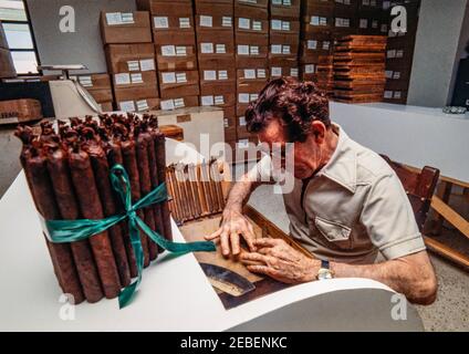 Ex Pat travailleurs cubains à la Padron Cigar Co. À Miami, Floride cigares roulés à la main fabriqués avec du tabac de semence nicaraguayen. 1979. Banque D'Images