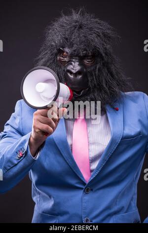 businessman wearing gorilla mask and screaming to megafon Banque D'Images